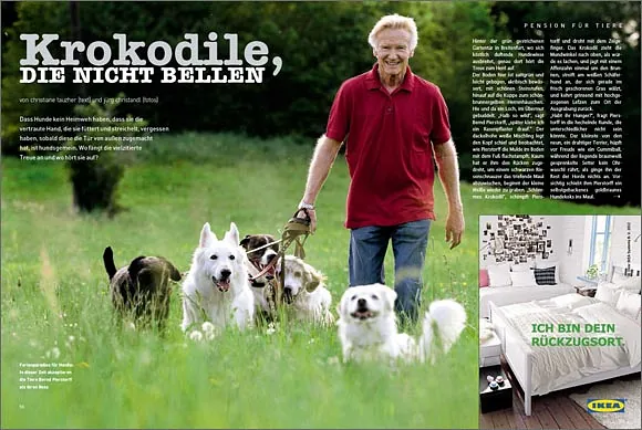 Krokodile, die nicht bellen