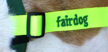 fairdog-Schleife